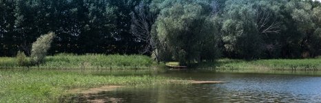 Зеленевский пруд. Фото 4835.