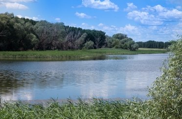 Зеленевский пруд. Фото 4836.