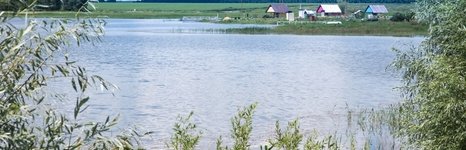 Зеленевский пруд. Фото 4837.
