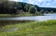 Зеленевский пруд. Фото 4841.