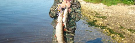 Барма-лэнд. Фото 4852.