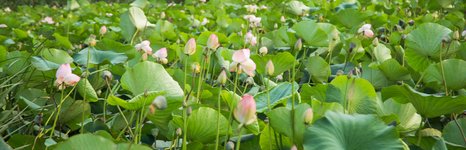 База протока. Фото 4859.