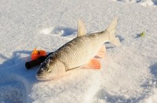 Атмосфера. Фото 4862.