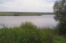 Александровка. Фото 4880.