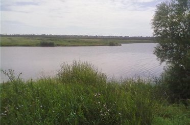 Александровка. Фото 4880.