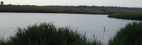 Александровка. Фото 4884.
