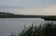Александровка. Фото 4886.