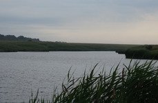 Александровка. Фото 4886.