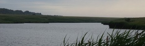 Александровка. Фото 4886.