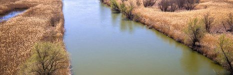 Астория. Фото 4893.