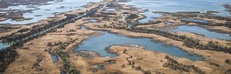 Астория. Фото 4900.