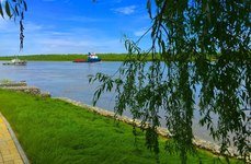 Астория. Фото 4901.