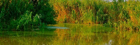 Астория. Фото 4917.