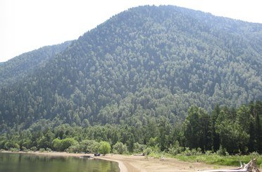 Алтын туу. Фото 4919.