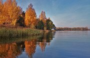 Акатовская медведица. Фото 4963.