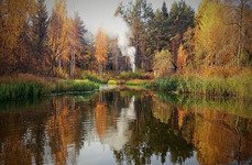 Акатовская медведица. Фото 4964.