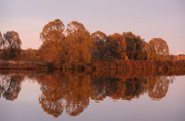 Акатовская медведица. Фото 4965.