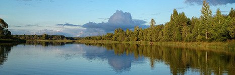 Акатовская медведица. Фото 4971.