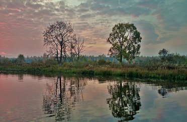 Акатовская медведица. Фото 4973.