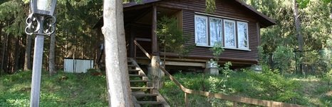 Аист. Фото 4976.