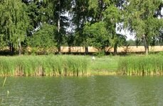 Коломенский пруд. Фото 4982.