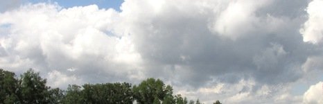 Коломенский пруд. Фото 4985.