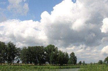 Коломенский пруд. Фото 4985.