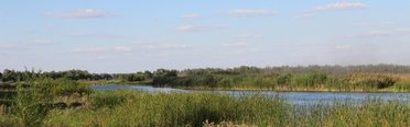 Коломенский пруд. Фото 4987.