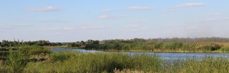 Коломенский пруд. Фото 4987.