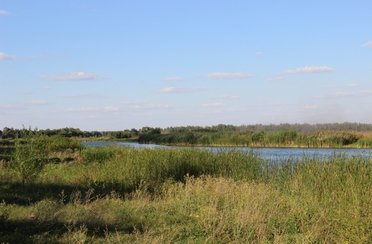 Коломенский пруд. Фото 4987.