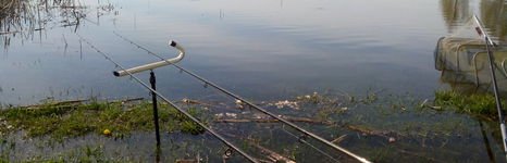 Коломенский пруд. Фото 4989.