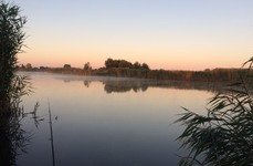 Коломенский пруд. Фото 4992.