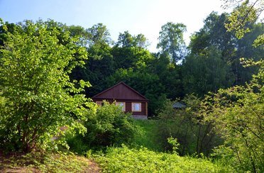 Фокино-Приволжье. Фото 501.