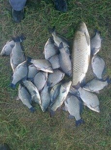 Полтора Ивана. Фото 5017.