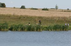 Южный пруд. Фото 5042.