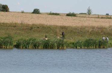 Южный пруд. Фото 5042.