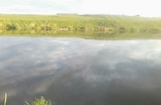 Южный пруд. Фото 5049.