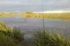 Южный пруд. Фото 5050.