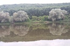 Южный пруд. Фото 5062.