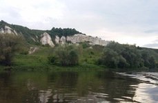 Южный пруд. Фото 5064.