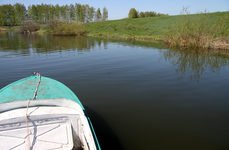 Роса. Фото 5071.