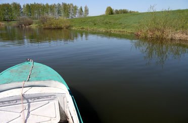 Роса. Фото 5071.