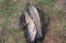 Парижская коммуна. Фото 5075.