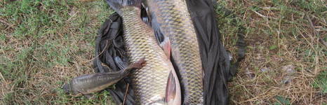 Парижская коммуна. Фото 5075.