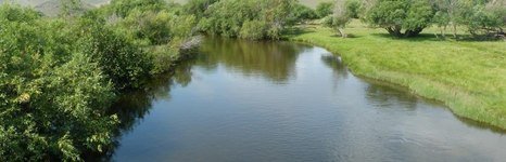 Чара. Фото 5109.