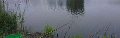 Закоряженный пруд. Фото 5129.