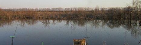 Закоряженный пруд. Фото 5130.