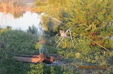 Закоряженный пруд. Фото 5133.