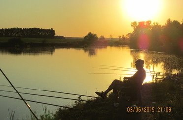 Закоряженный пруд. Фото 5134.