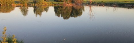 Закоряженный пруд. Фото 5135.